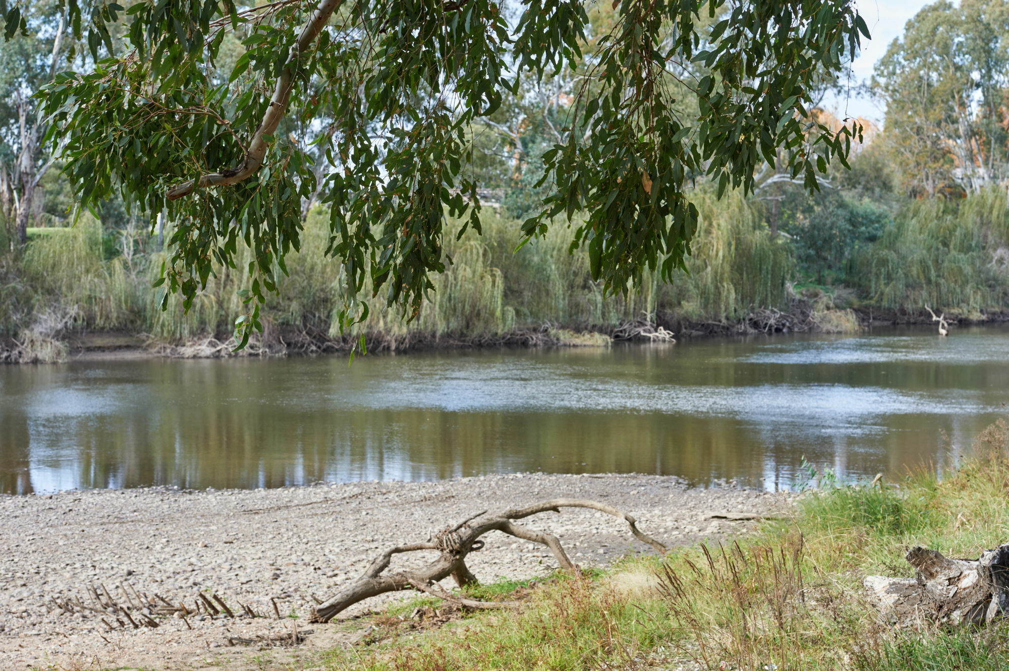Gundagai Cabins & Tourist Park 외부 사진